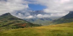 IMG_5553