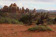 IMG_0606
