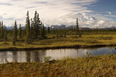 1V8A2692_panorama