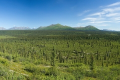 1V8A2814_panorama