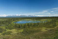 1V8A2828_panorama