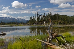 1V8A3000_panorama