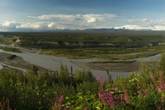 1V8A3028_panorama
