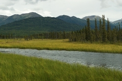 1V8A3933_panorama