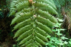 0125_IMG_9384