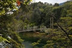 0126_IMG_9450