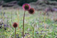 0127_IMG_9518