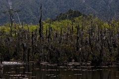 0127_IMG_9539