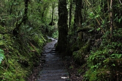 0127_IMG_9595