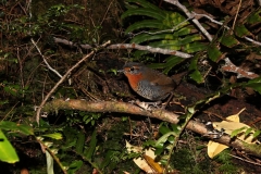 0127_IMG_9599