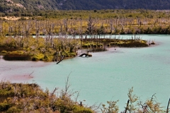 0128_IMG_9690
