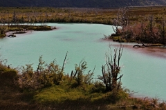 0128_IMG_9691