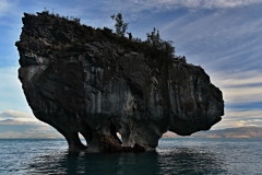0129_IMG_9768