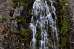 0205_IMG_0465