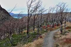 0205_IMG_9857