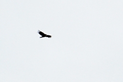 0206_IMG_9872