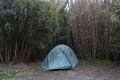 0210_IMG_0012