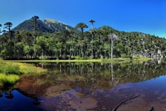 0210_IMG_0031_panorama