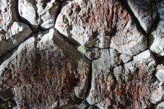 0210_IMG_0056