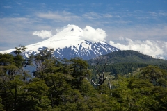 0210_IMG_0066