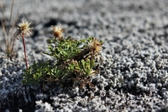 0213_IMG_0376