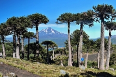 0214_IMG_0437_panorama